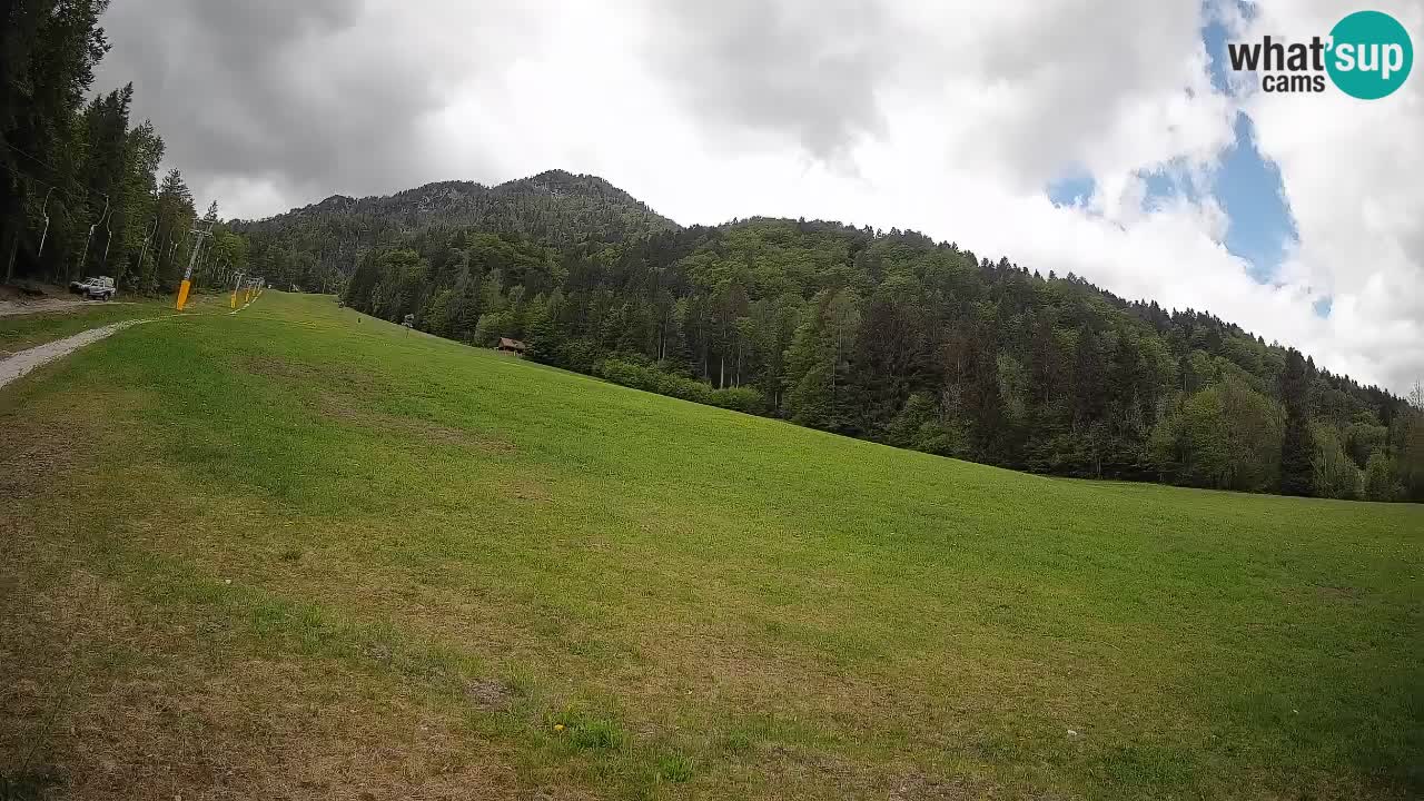 Kranjska Gora SKIJANJE | Brsnina