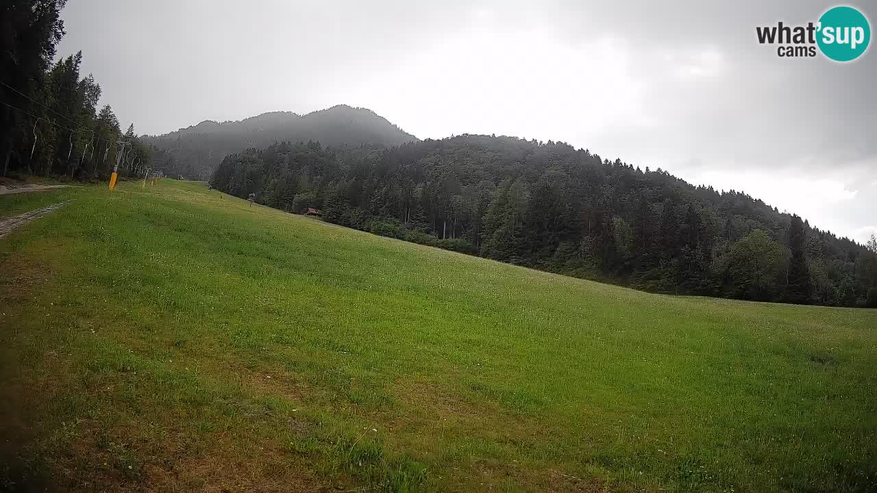 Kranjska Gora Station de ski | Brsnina