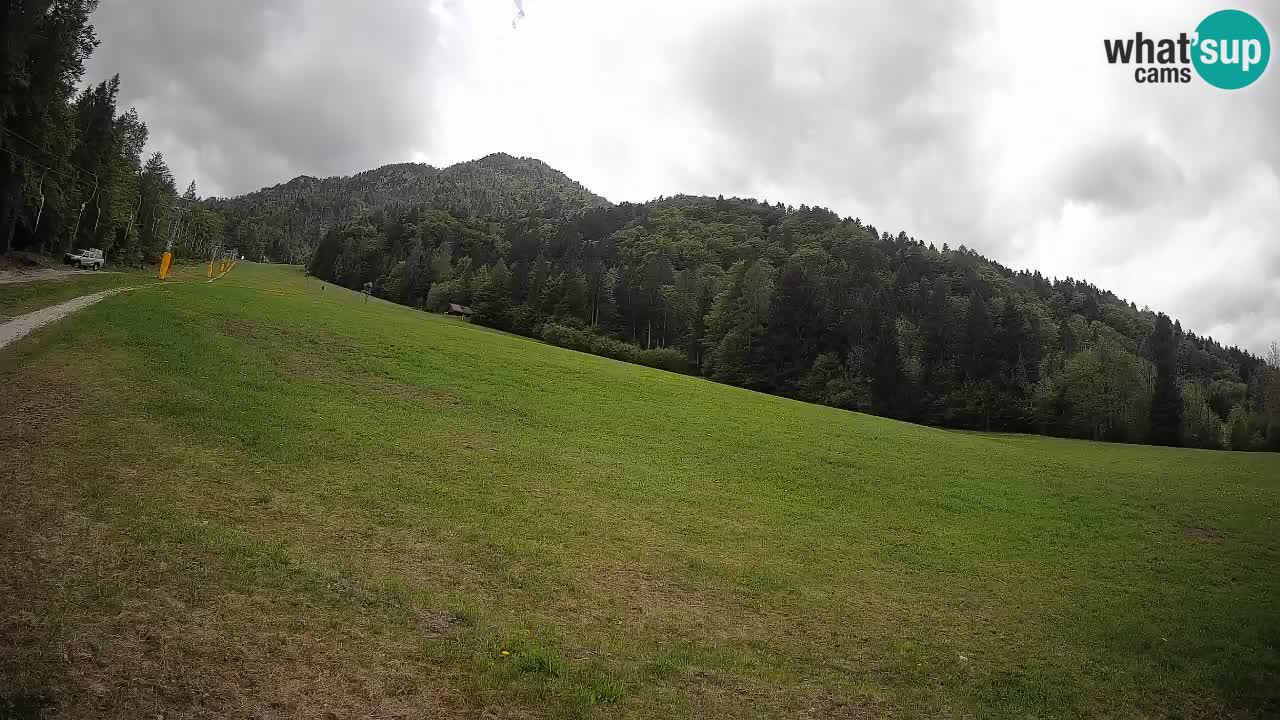 Kranjska Gora Station de ski | Brsnina