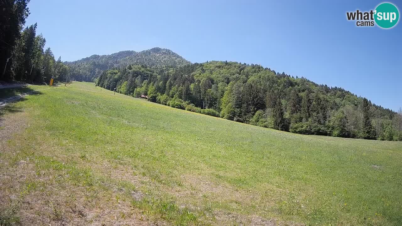 Ski Kranjska Gora | Brsnina