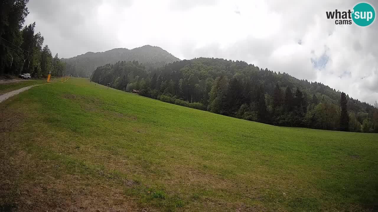 Kranjska Gora SKIJANJE | Brsnina