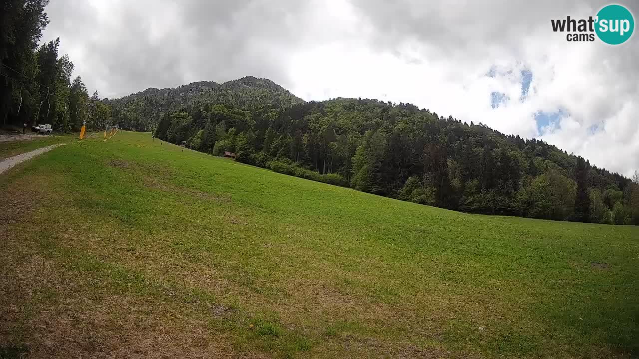 RTC Skigebiet Kranjska Gora | Brsnina