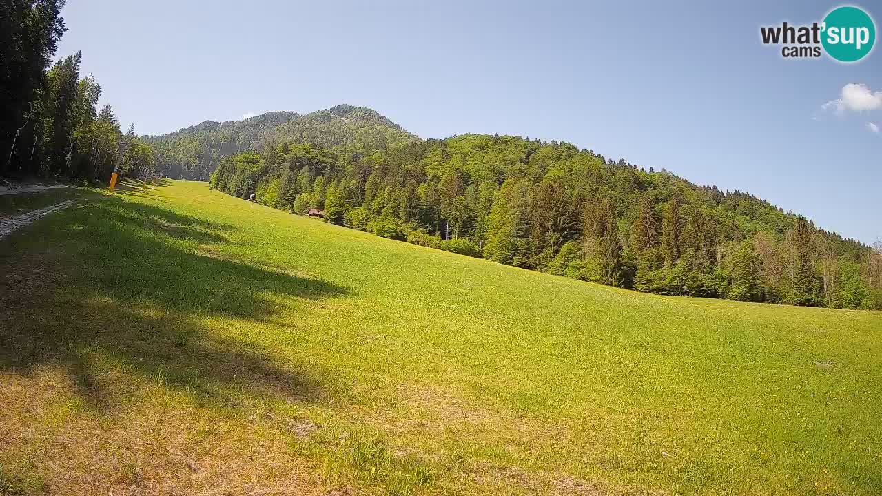 Kranjska Gora Station de ski | Brsnina