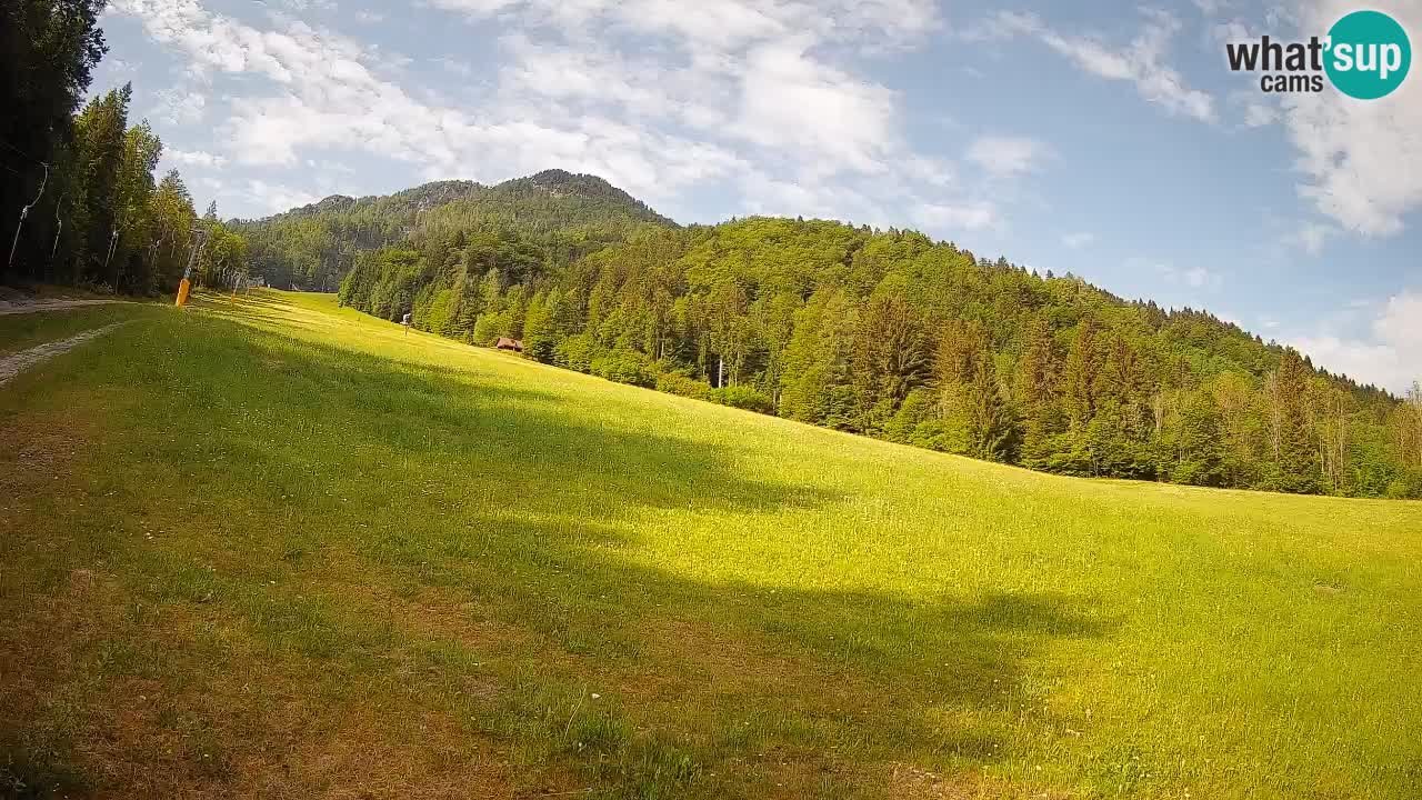 Kranjska Gora SKIJANJE | Brsnina