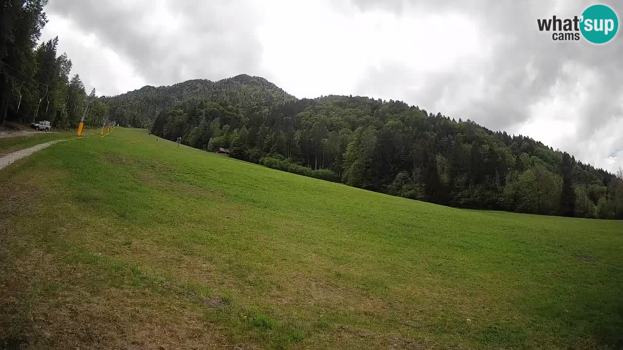 Kranjska Gora Station de ski | Brsnina