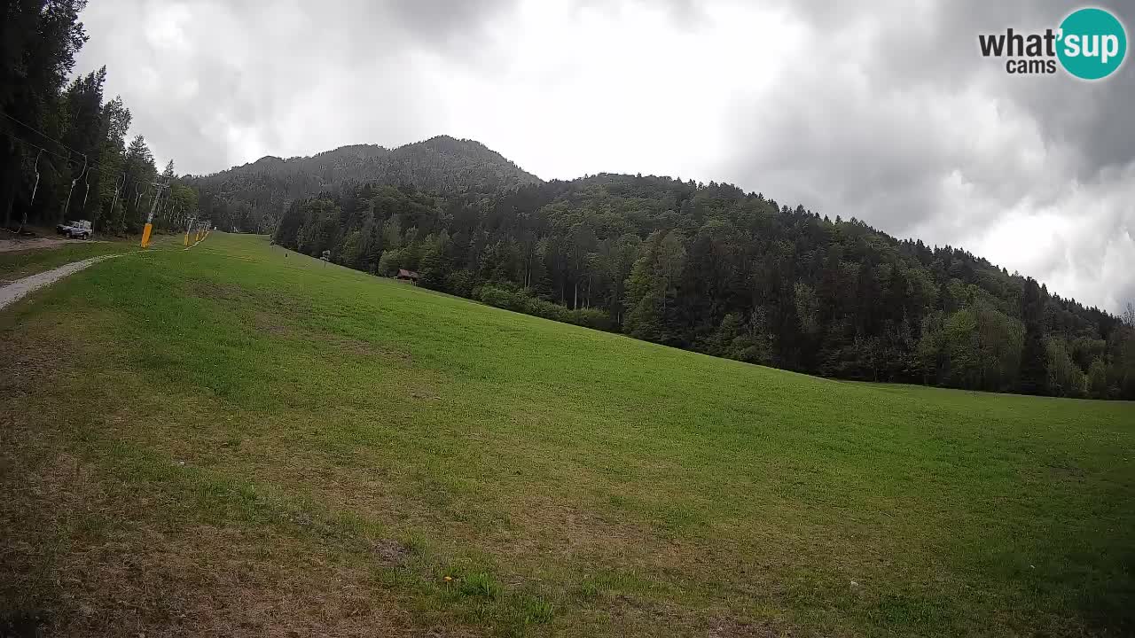 Kranjska Gora Station de ski | Brsnina
