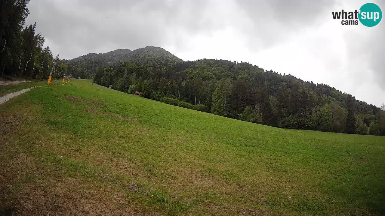 Ski Kranjska Gora | Brsnina