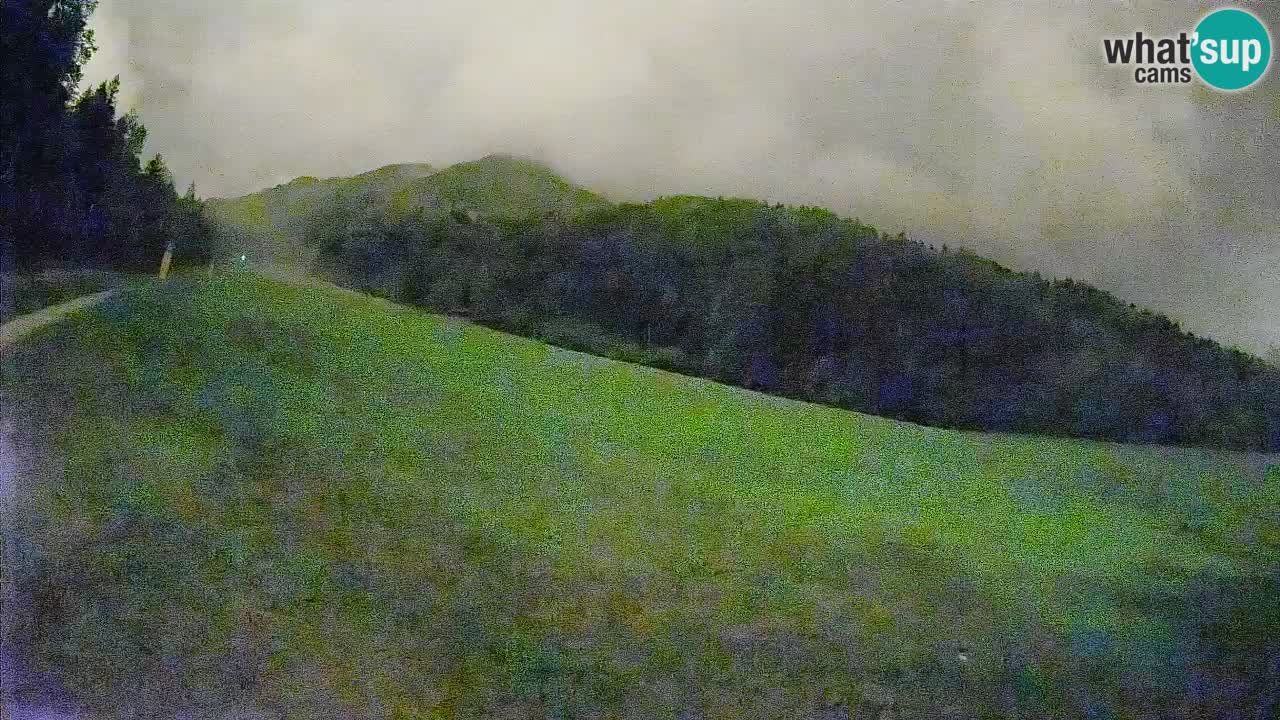 Ski Kranjska Gora | Brsnina