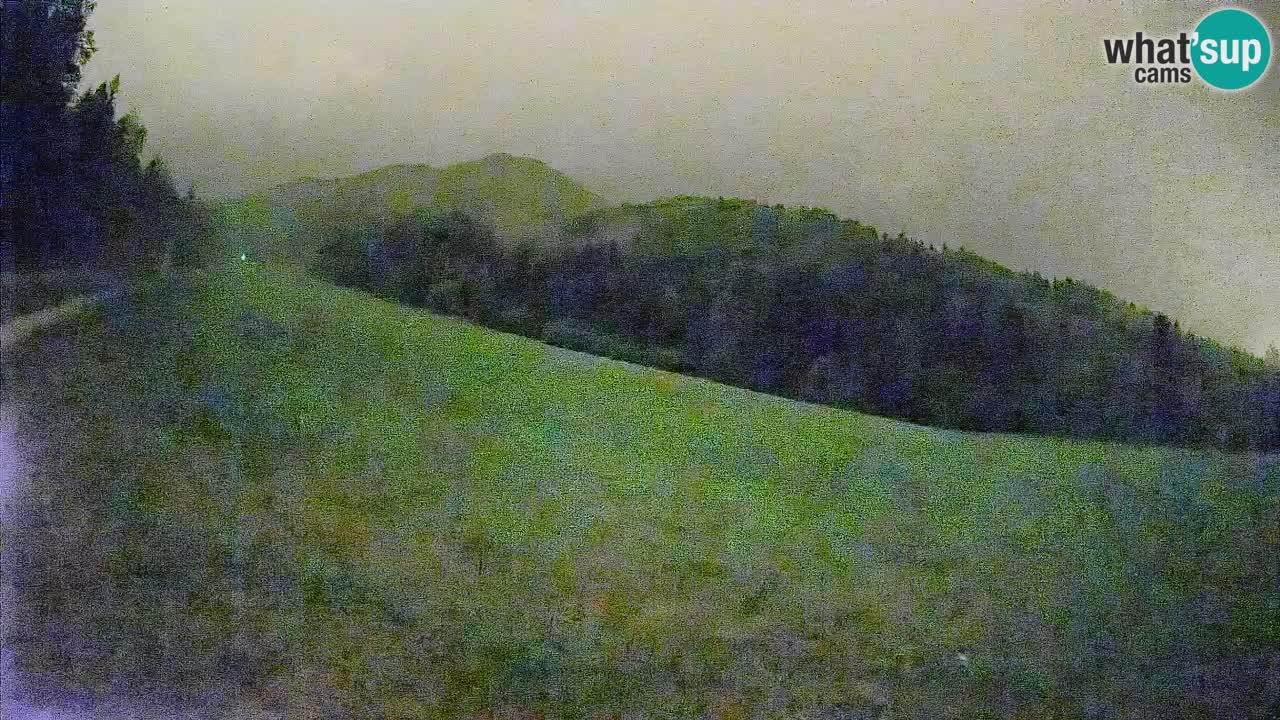 RTC Skigebiet Kranjska Gora | Brsnina