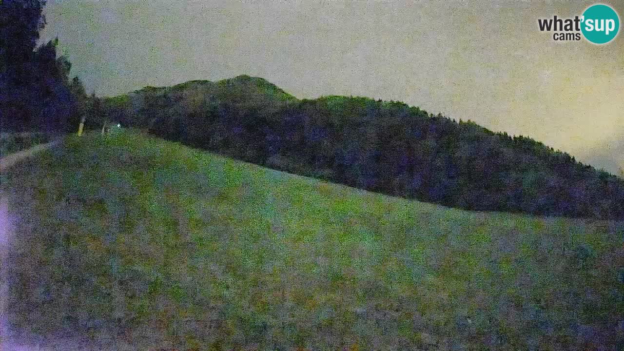 Esquí Kranjska Gora | Brsnina