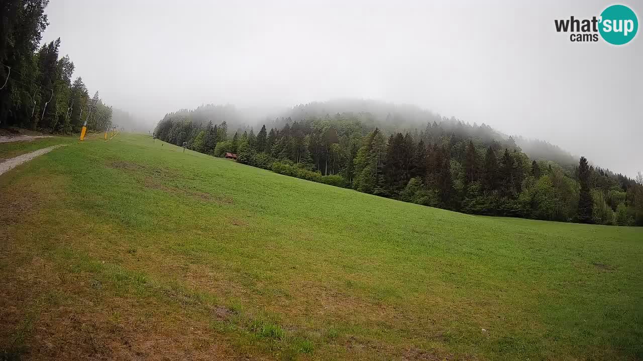 RTC Skigebiet Kranjska Gora | Brsnina