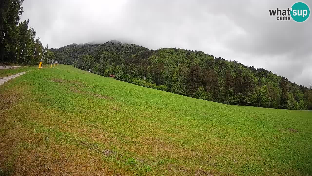 Ski Kranjska Gora | Brsnina