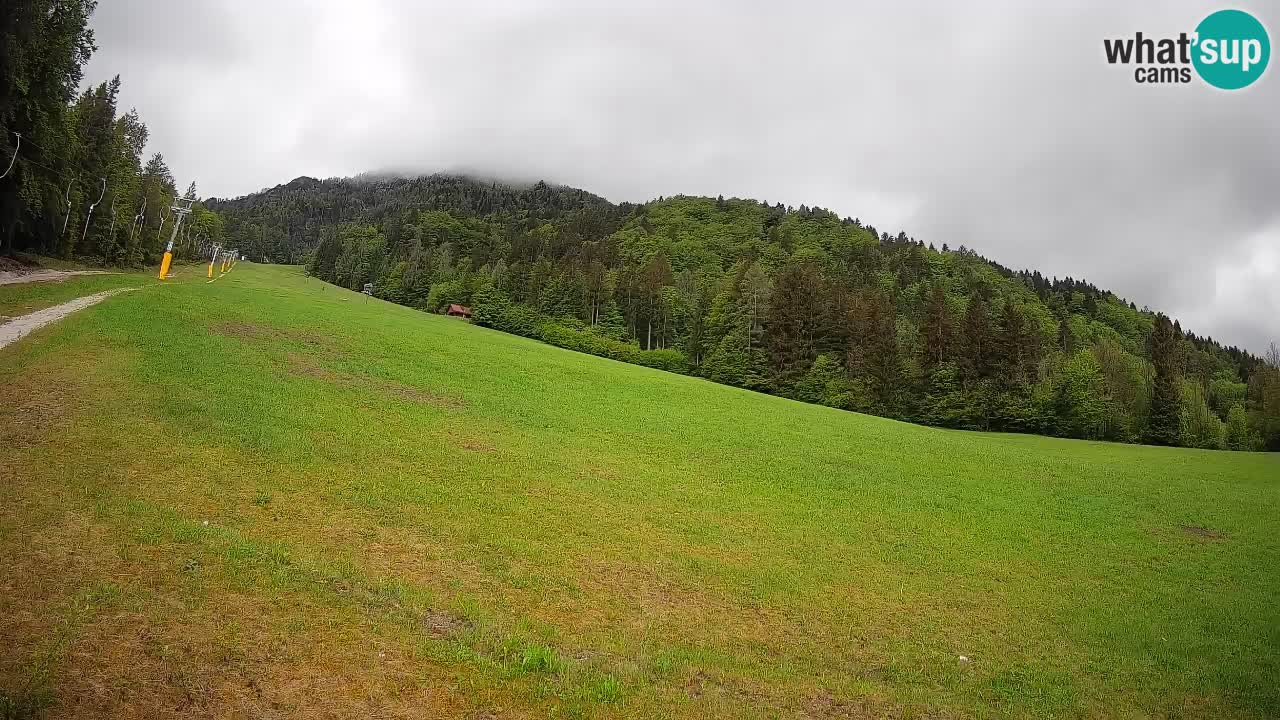 Ski Kranjska Gora | Brsnina
