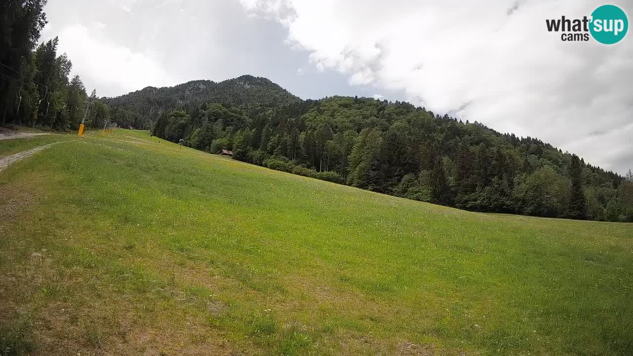 RTC Kranjska Gora | Brsnina