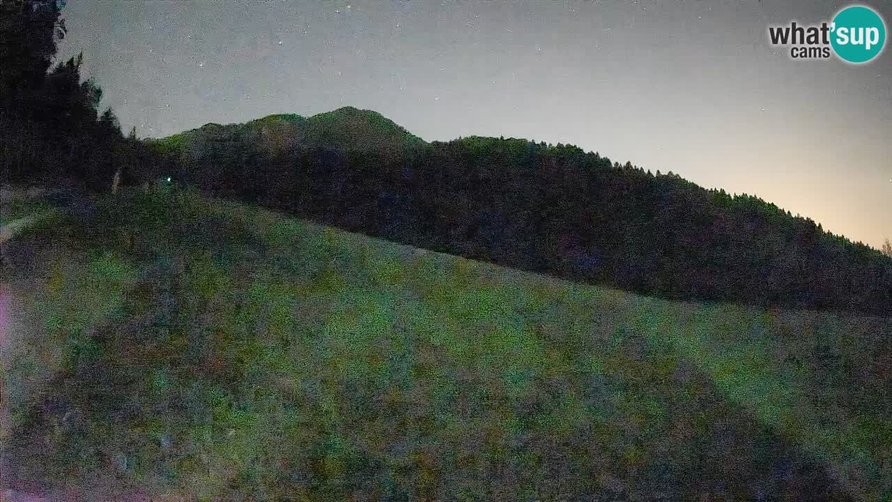 RTC Skigebiet Kranjska Gora | Brsnina