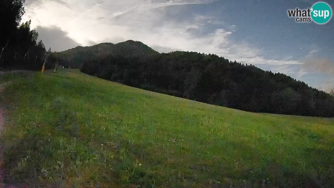 Esquí Kranjska Gora | Brsnina