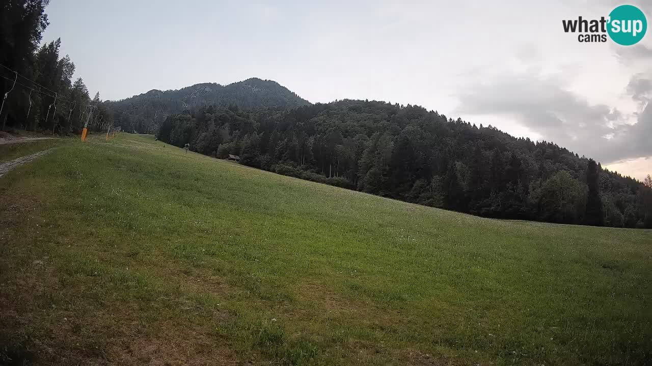 RTC Kranjska Gora | Brsnina
