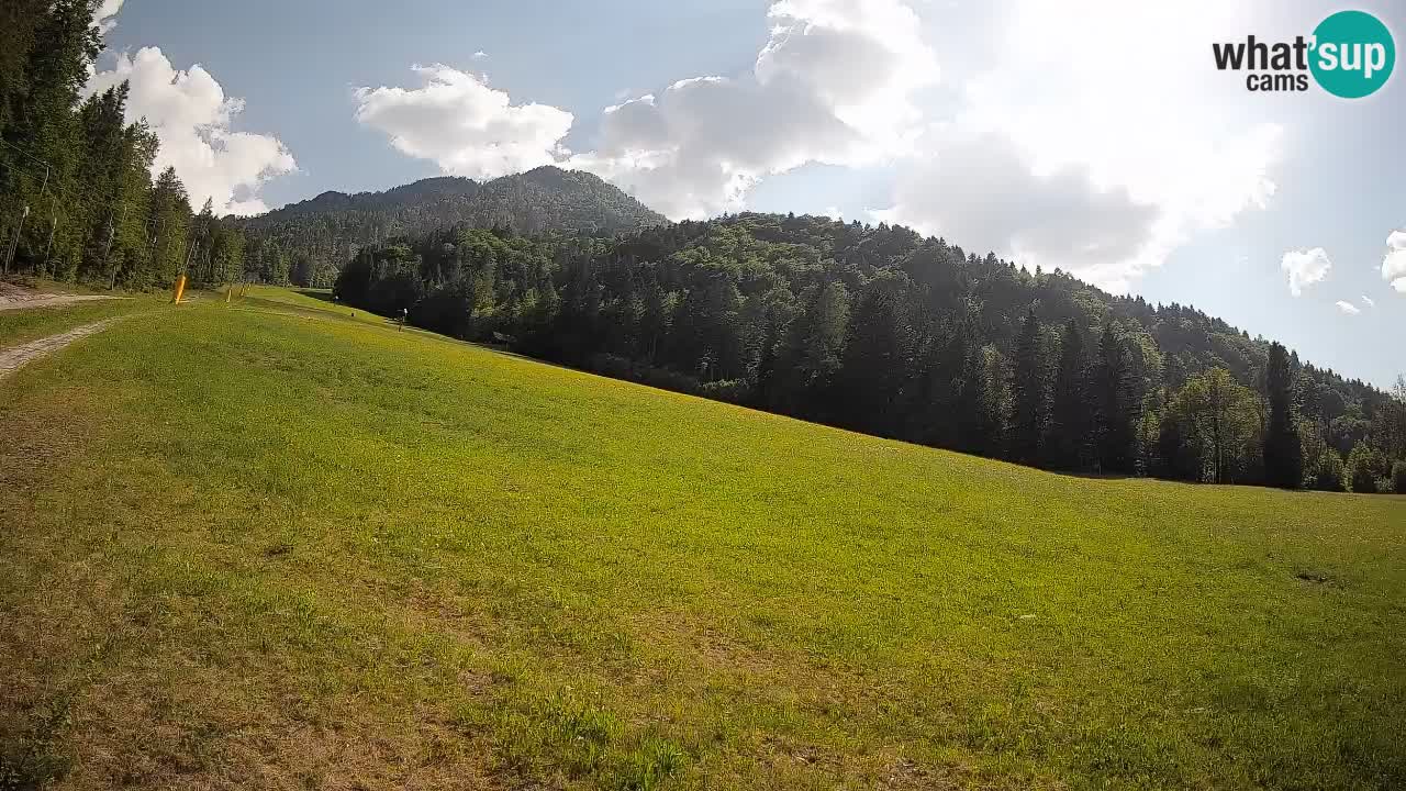 RTC Skigebiet Kranjska Gora | Brsnina