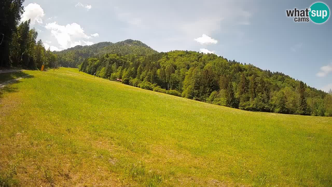 RTC Skigebiet Kranjska Gora | Brsnina