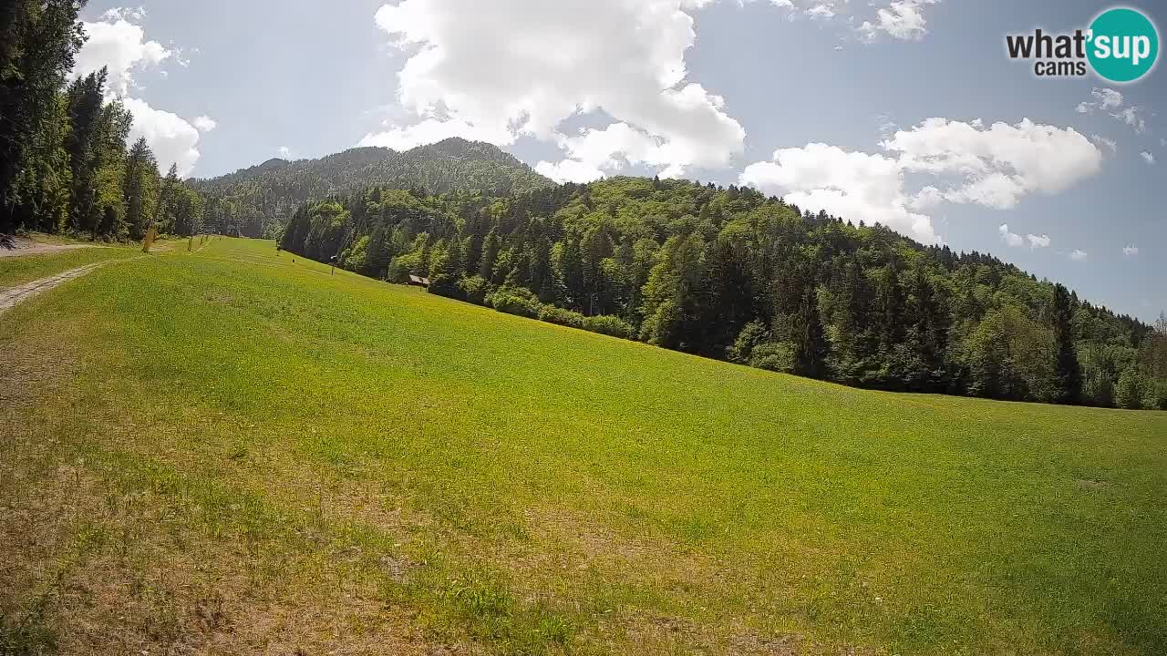 RTC Skigebiet Kranjska Gora | Brsnina