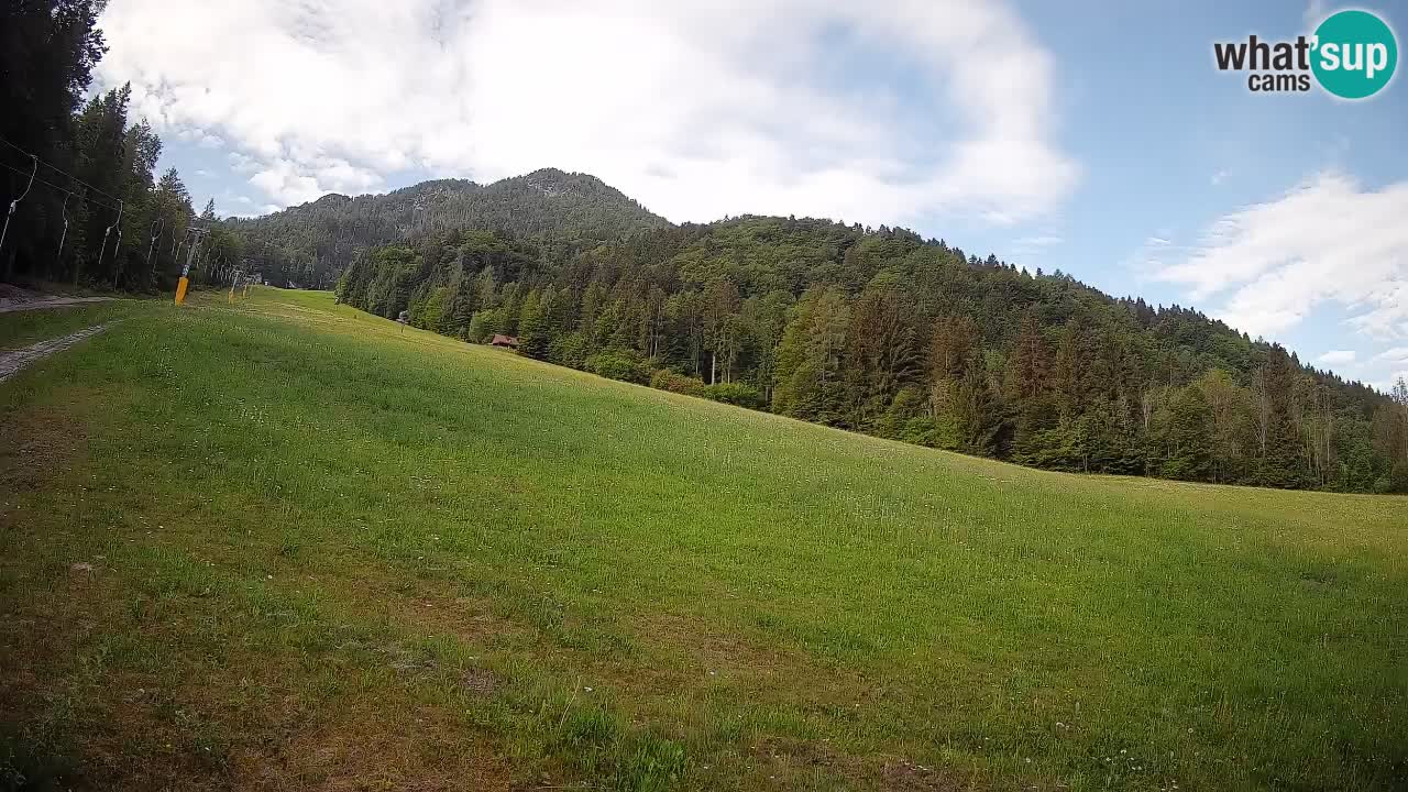 Ski Kranjska Gora | Brsnina