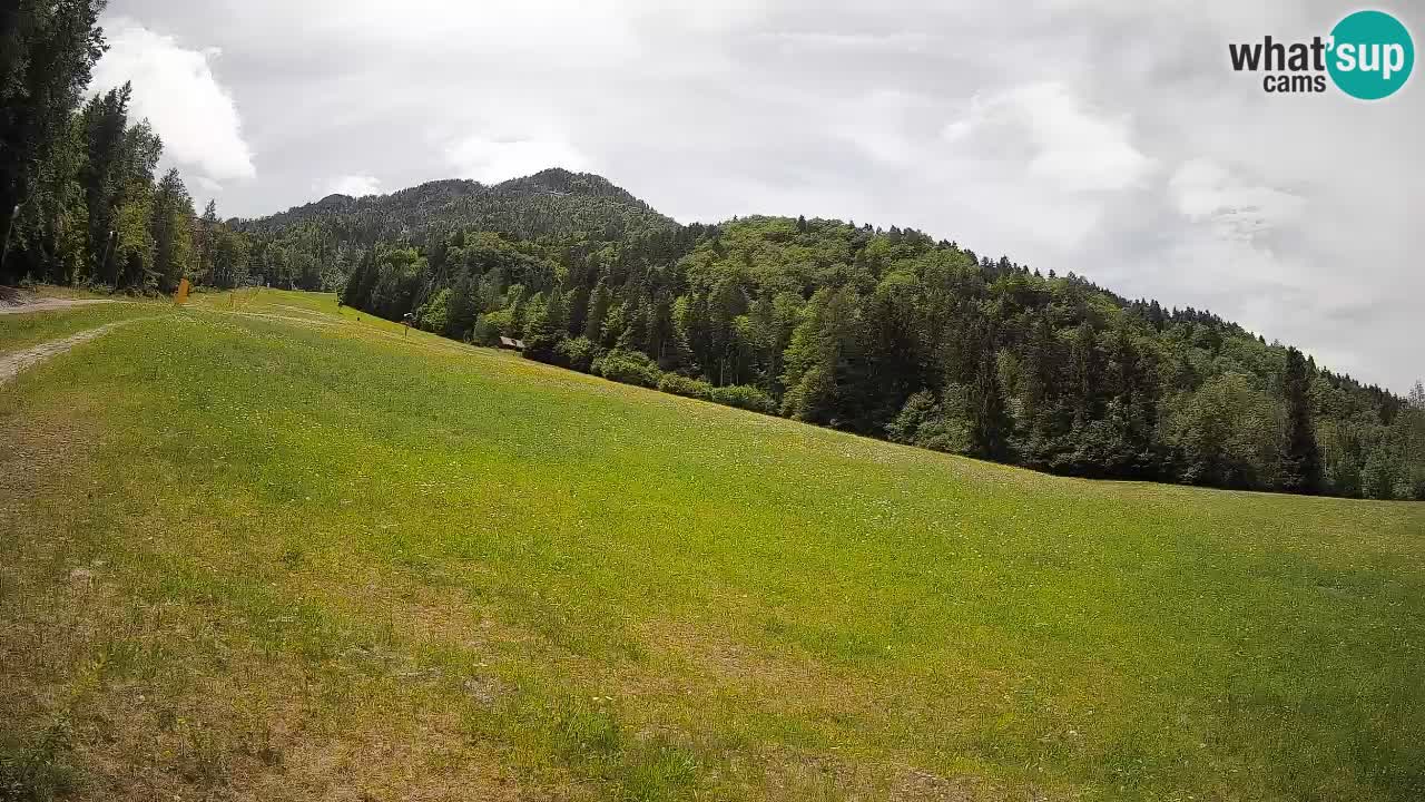Esquí Kranjska Gora | Brsnina