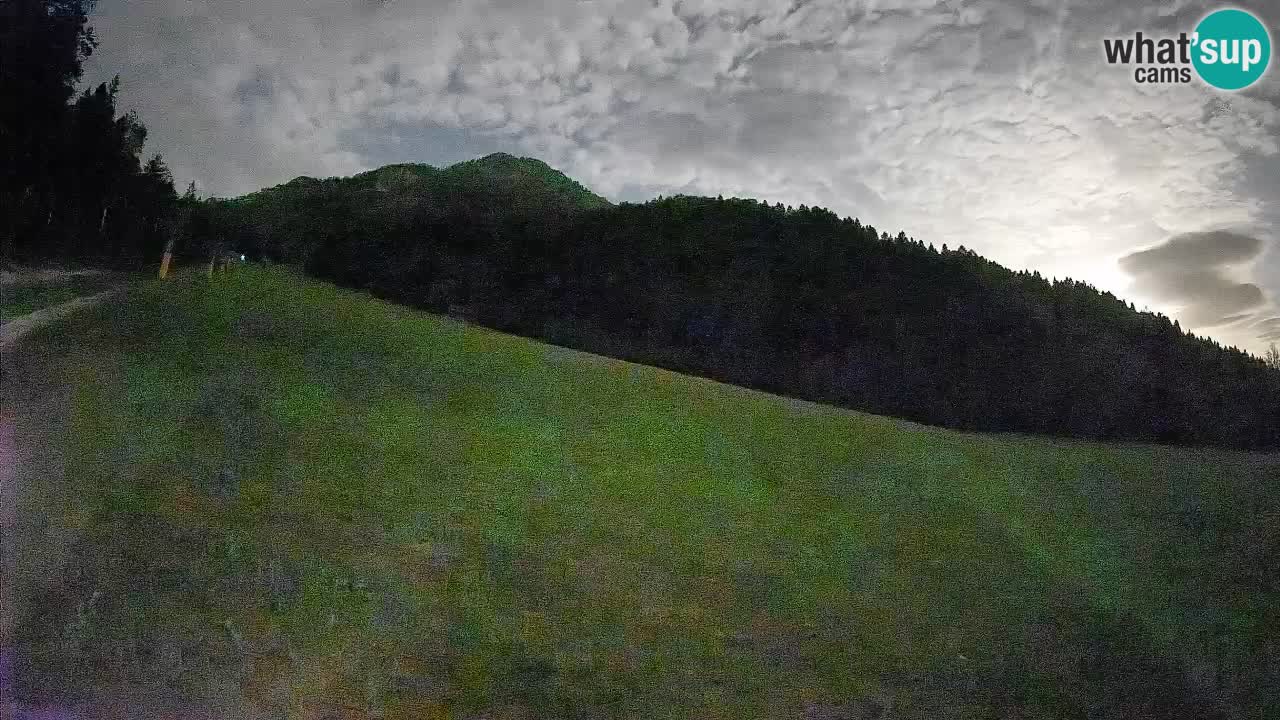 RTC Kranjska Gora | Brsnina