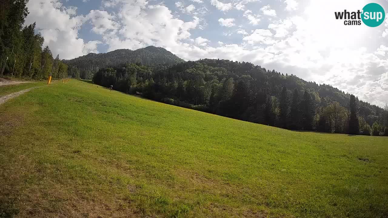 RTC Kranjska Gora | Brsnina