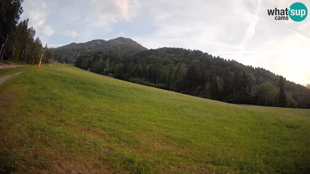 Comprensorio sciistico Kranjska Gora | Brsnina