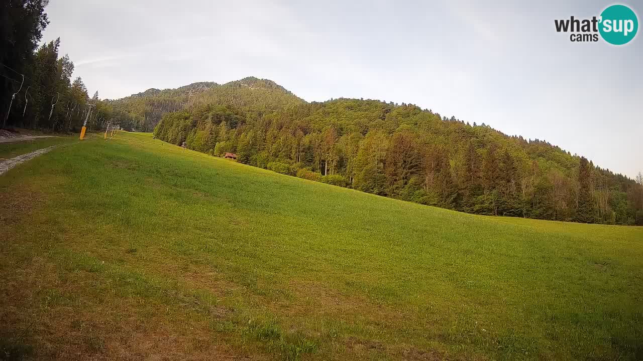 Kranjska Gora Station de ski | Brsnina