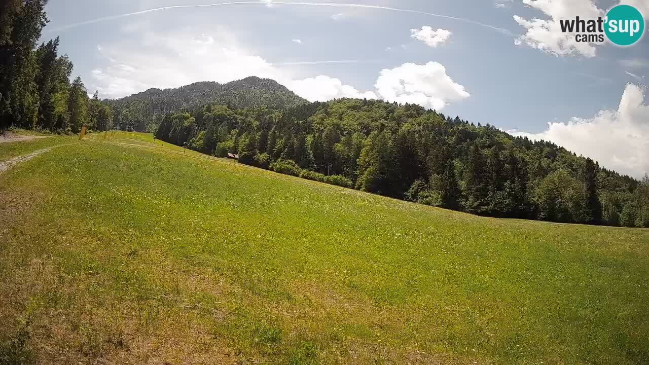RTC Kranjska Gora | Brsnina