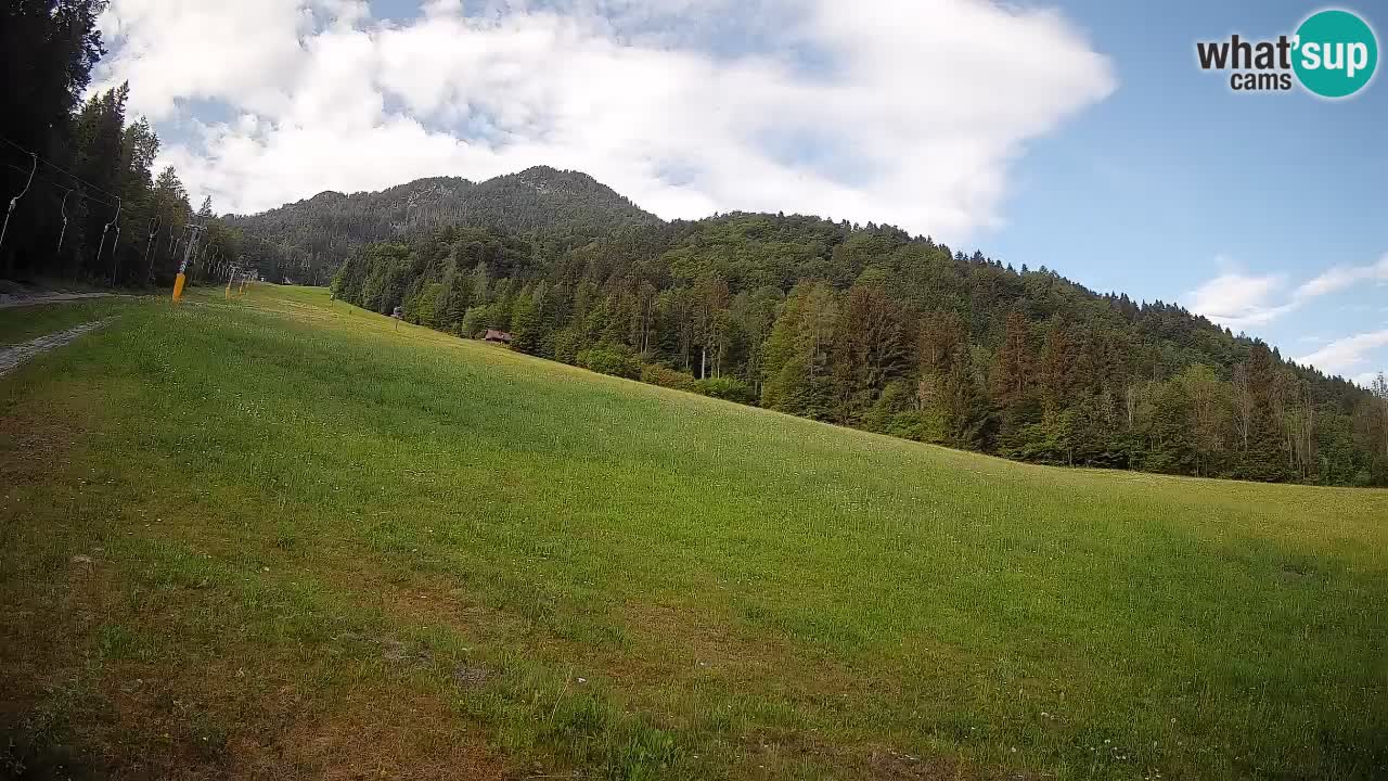 RTC Skigebiet Kranjska Gora | Brsnina