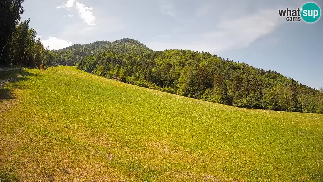 RTC Kranjska Gora | Brsnina