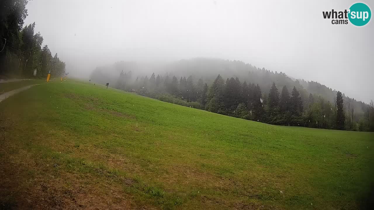 Ski Kranjska Gora | Brsnina