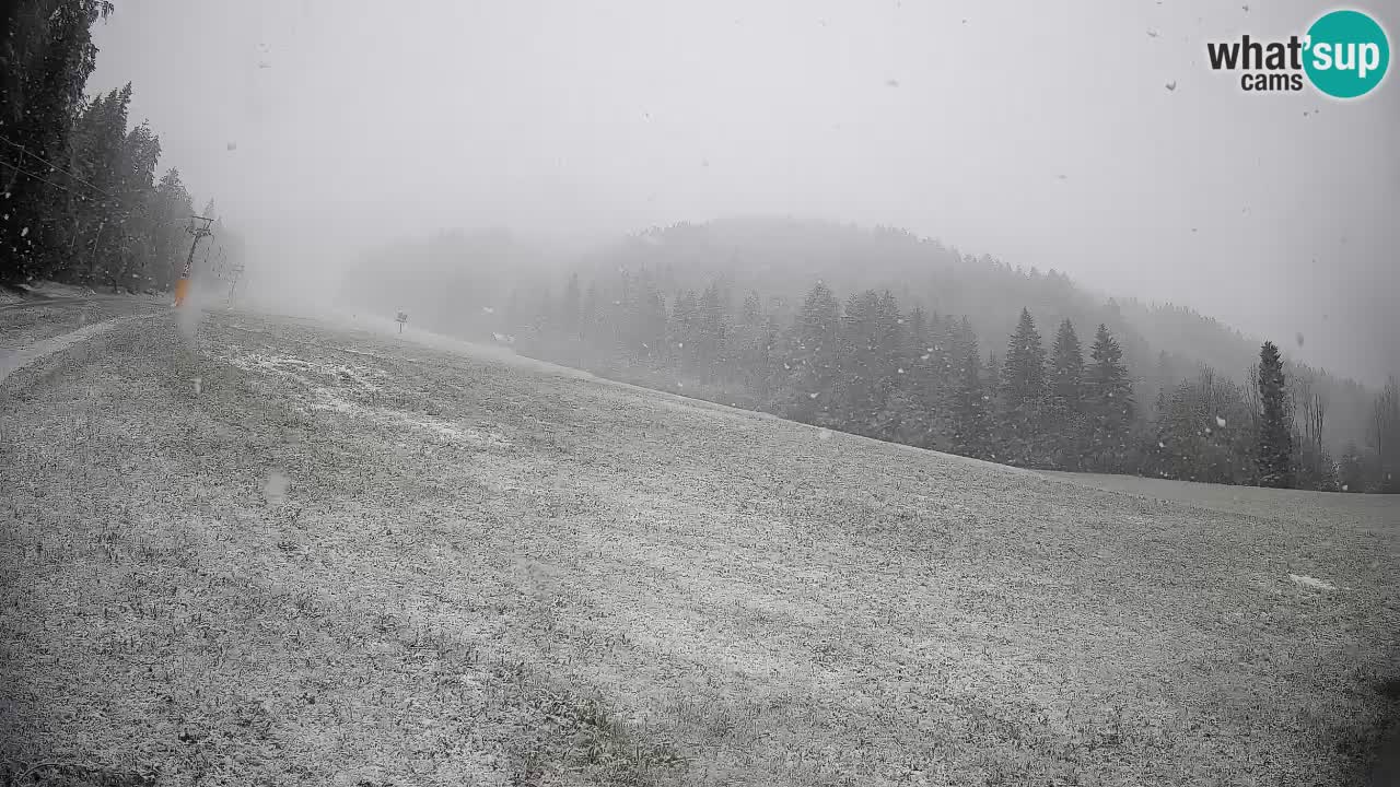 Comprensorio sciistico Kranjska Gora | Brsnina