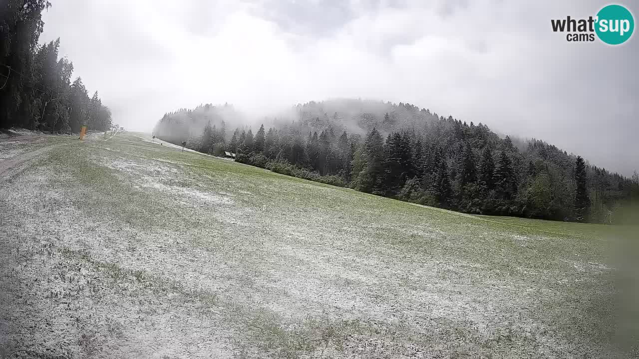 Ski Kranjska Gora | Brsnina