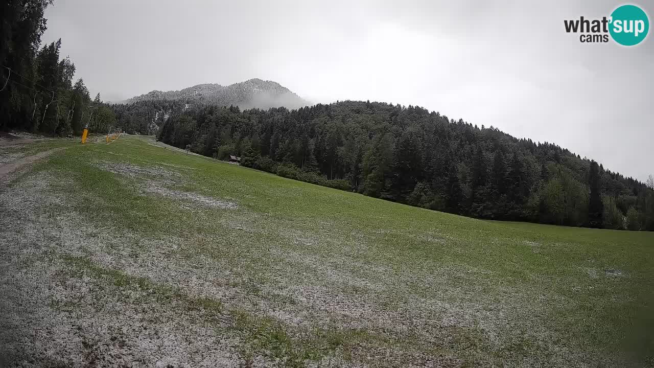 Comprensorio sciistico Kranjska Gora | Brsnina