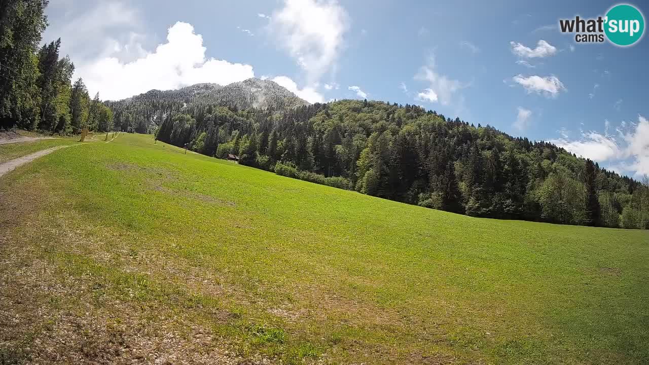 Kranjska Gora Station de ski | Brsnina