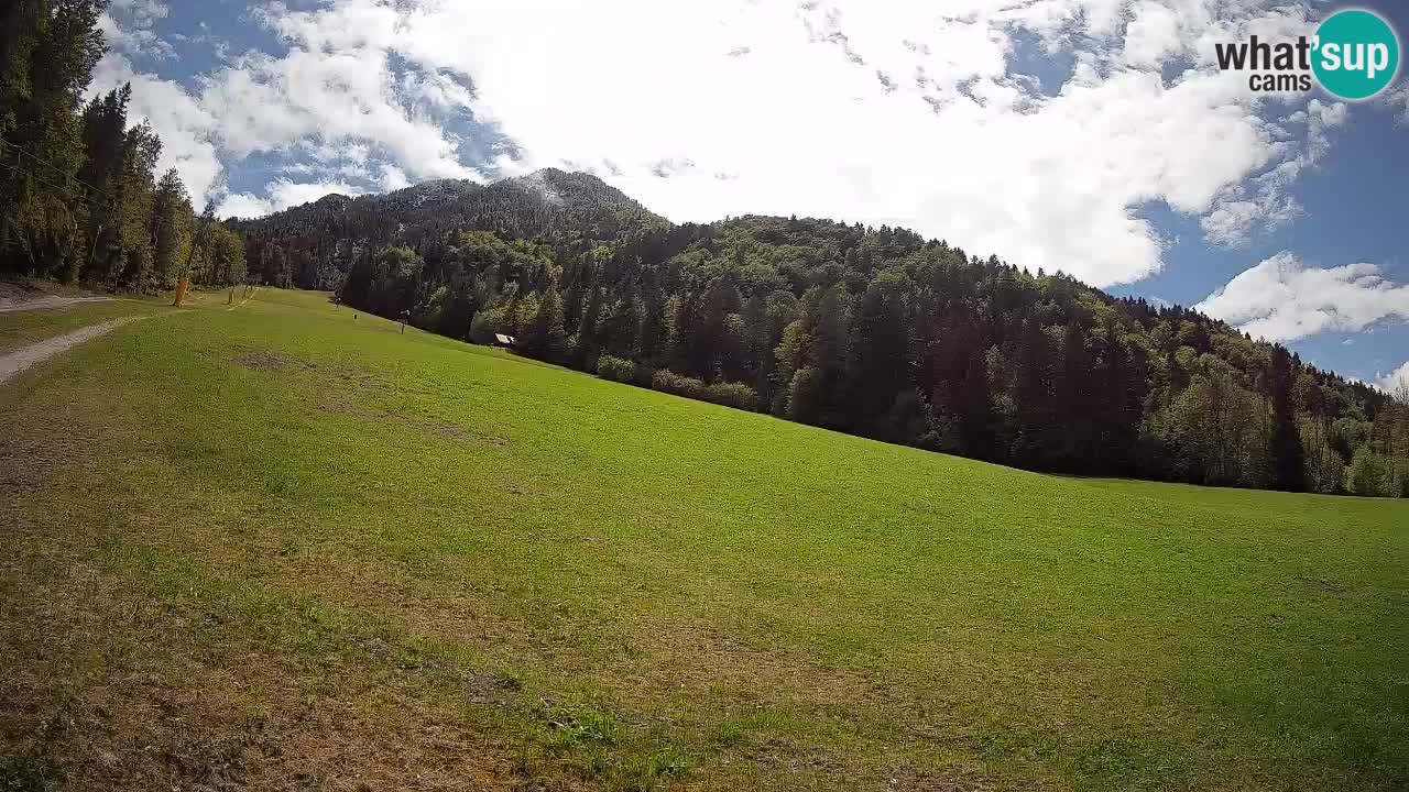 Ski Kranjska Gora | Brsnina