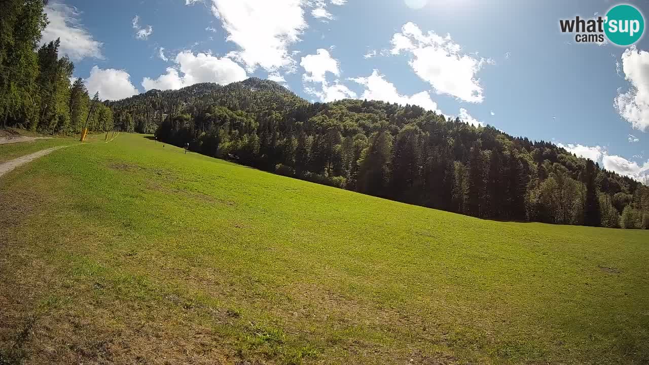 Esquí Kranjska Gora | Brsnina
