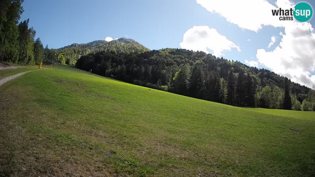 Ski Kranjska Gora | Brsnina