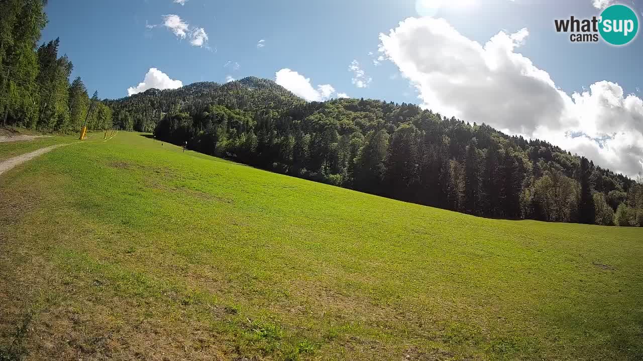Ski Kranjska Gora | Brsnina