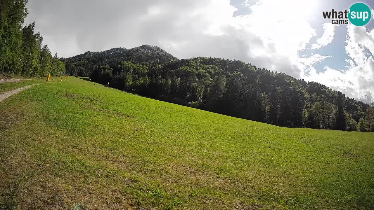 Esquí Kranjska Gora | Brsnina