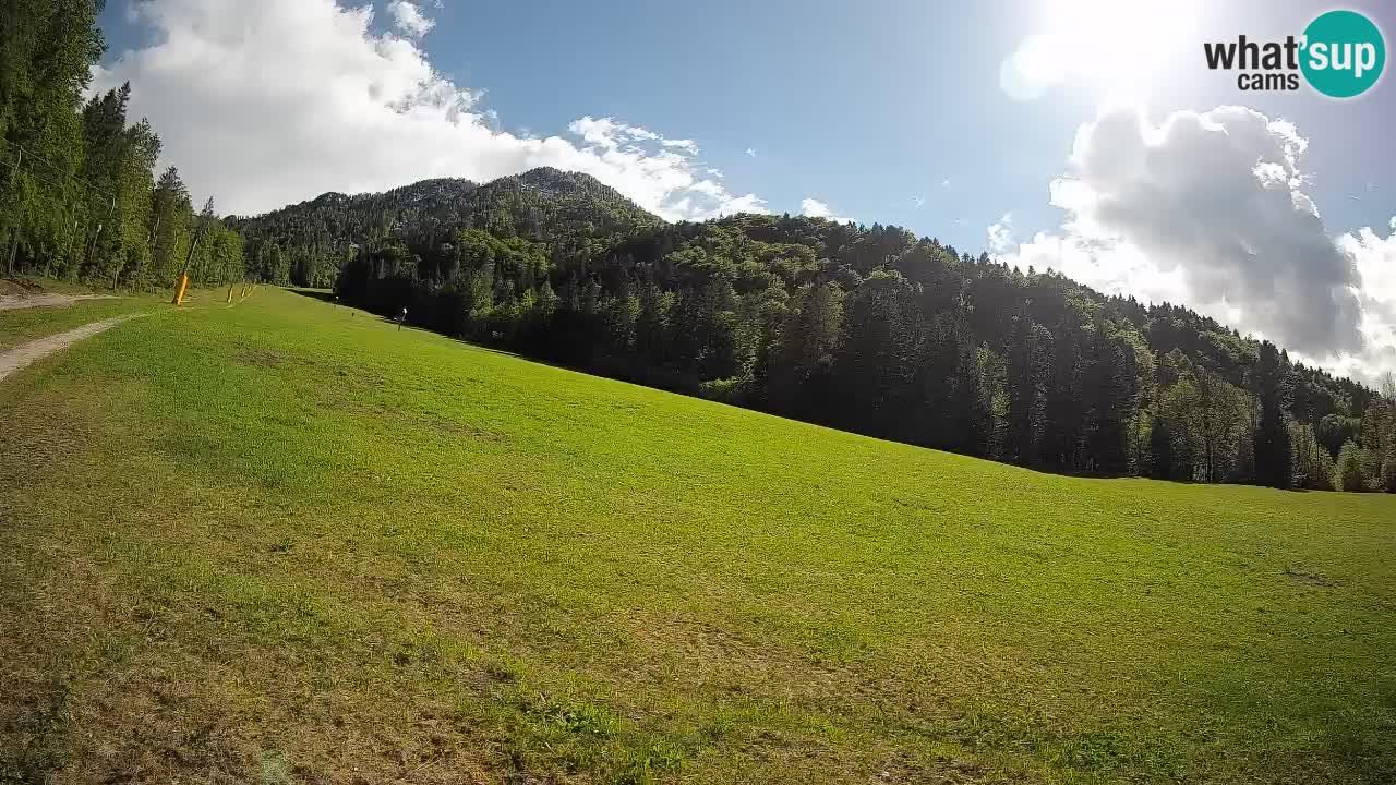 Esquí Kranjska Gora | Brsnina