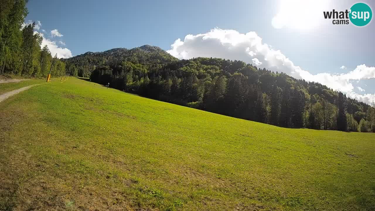 Esquí Kranjska Gora | Brsnina