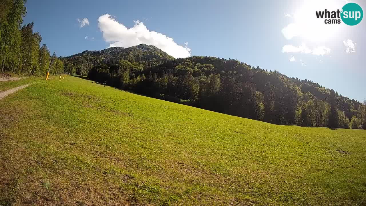 Ski Kranjska Gora | Brsnina