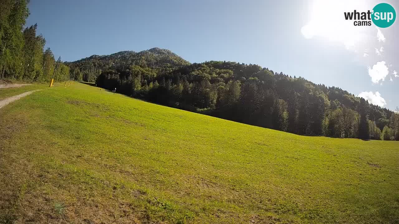Kranjska Gora Station de ski | Brsnina