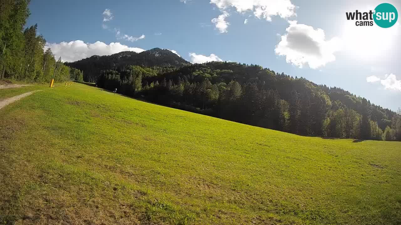 Esquí Kranjska Gora | Brsnina