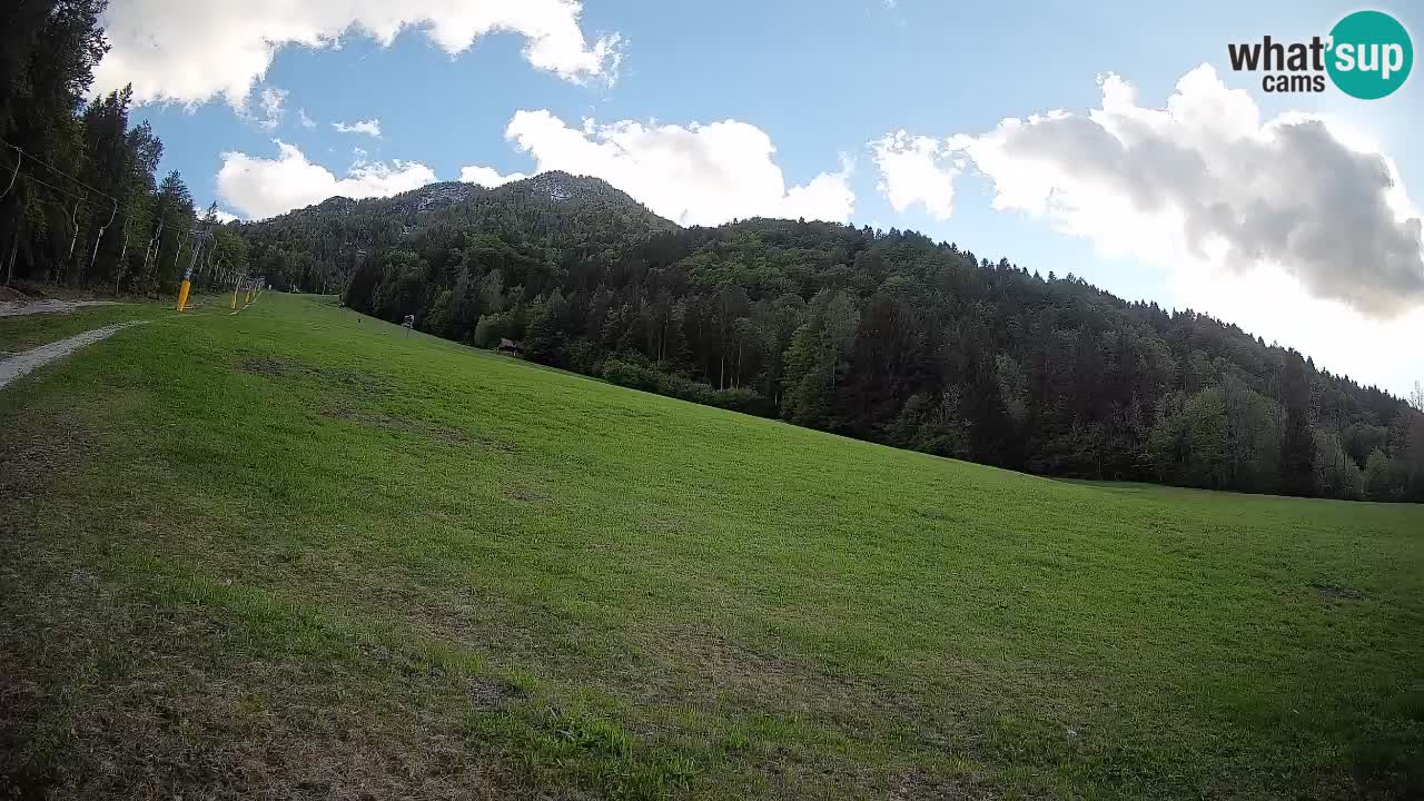 Kranjska Gora Station de ski | Brsnina