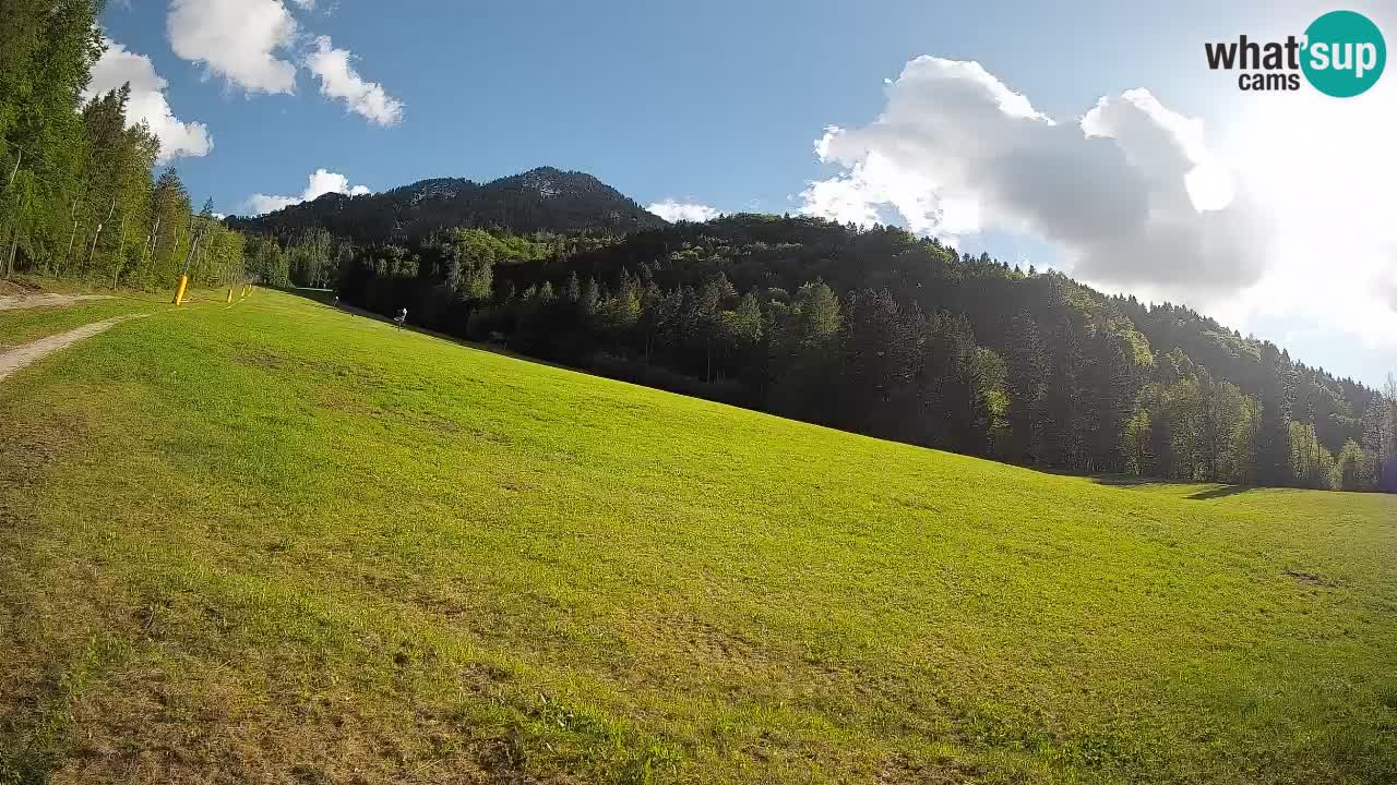 Kranjska Gora Station de ski | Brsnina